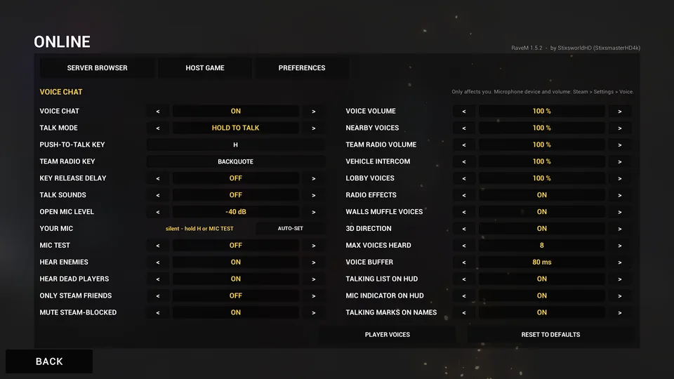 RaveM VOICE CHAT settings page: voice chat on, talk mode hold to talk, push-to-talk key H, team radio key BACKQUOTE, open mic level, your mic meter with AUTO-SET, mic test, hearing filters, and volume, effect and HUD options.