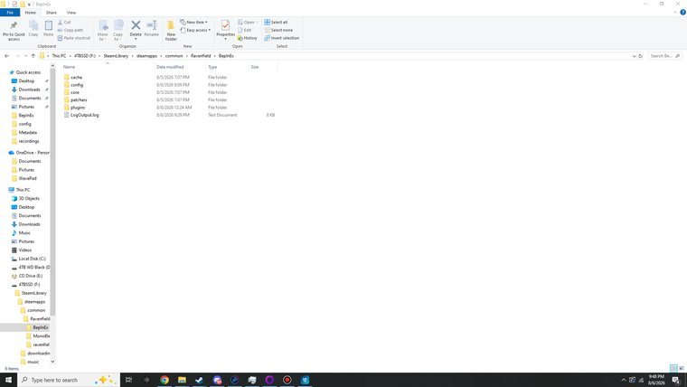 Inside the BepInEx folder