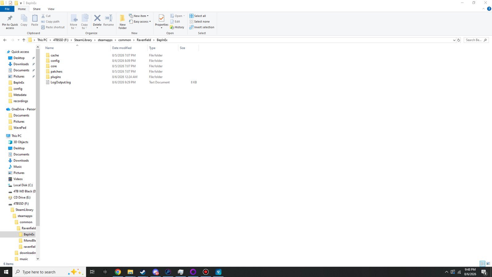 Inside the BepInEx folder