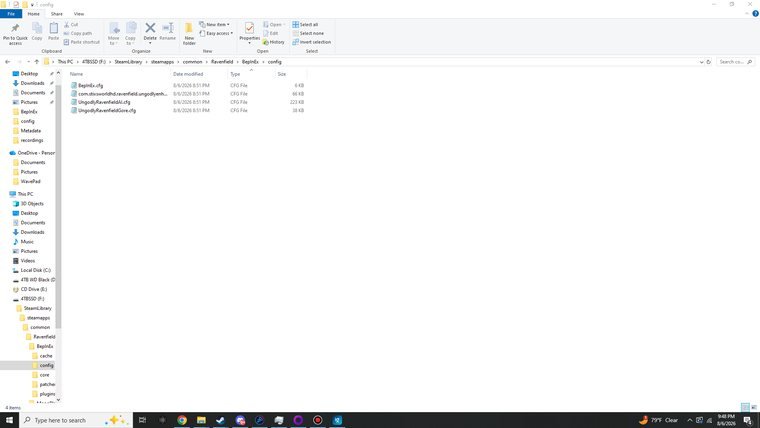 The config folder after the first launch