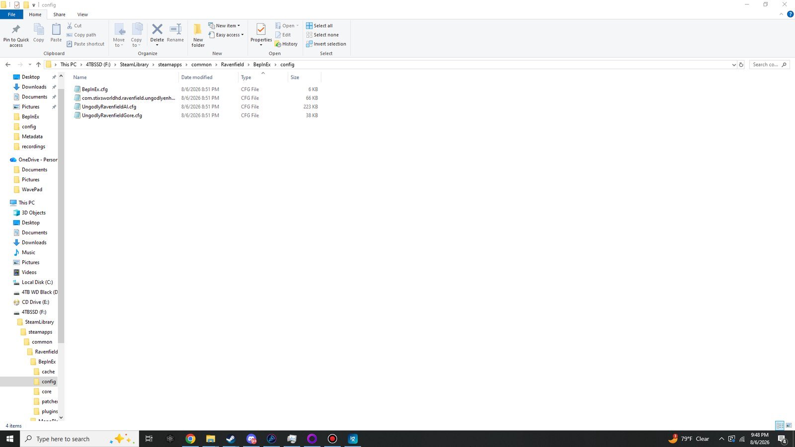 The config folder after the first launch